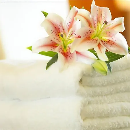 Hotel San Giorgio 4s